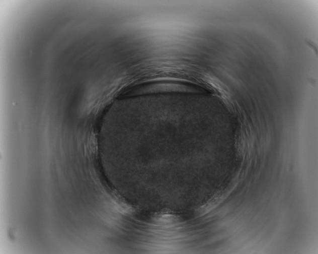 X0000095920467200801181421