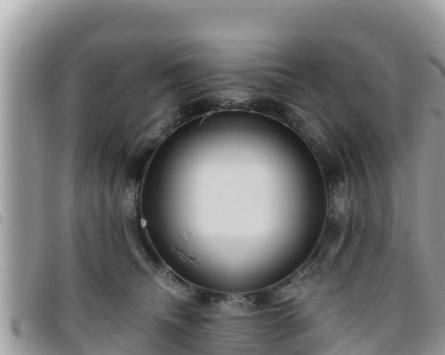 X0000095920468200801181421