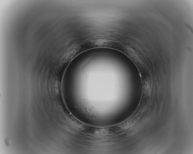 X0000095920470200801181421