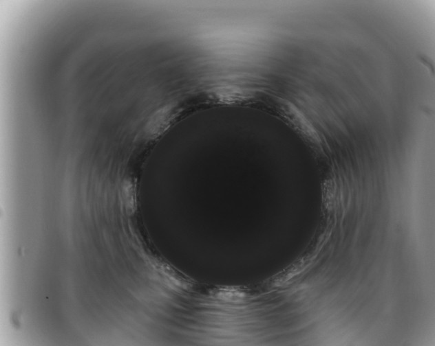 X0000095920471200801181421