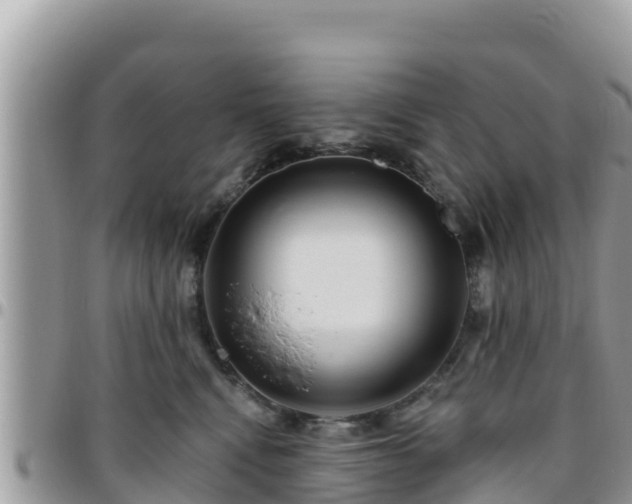 X0000095920472200801181421