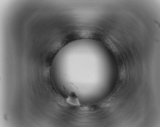 X0000095920473200801181421