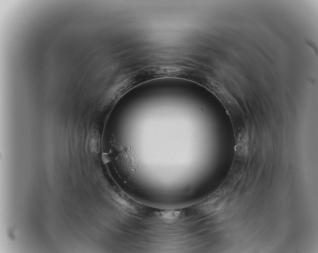 X0000095920474200801181421