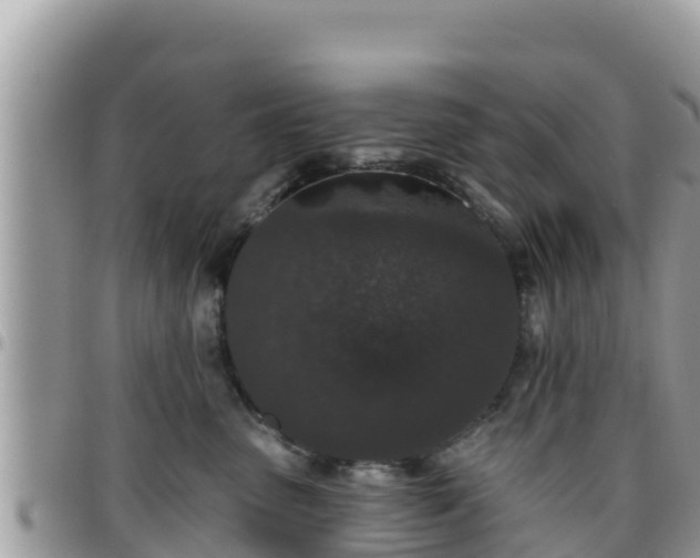 X0000095920475200801181421