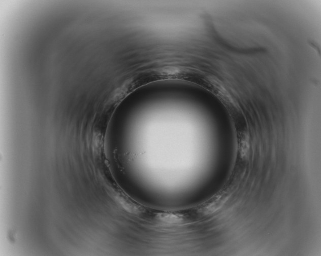 X0000095920476200801181421