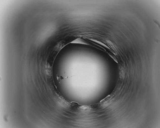 X0000095920477200801181421