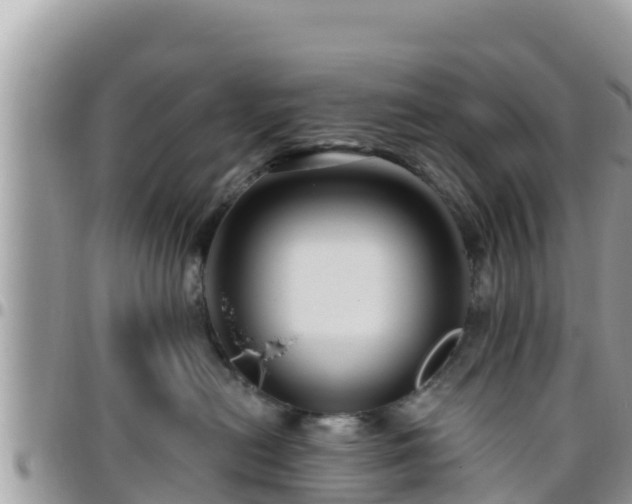 X0000095920478200801181421