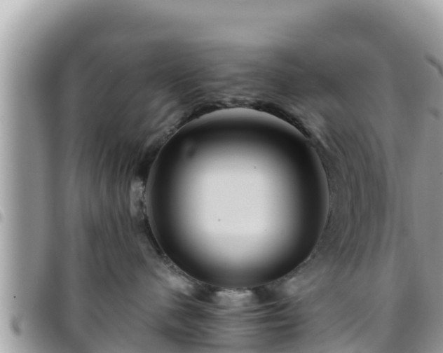 X0000095920480200801181421