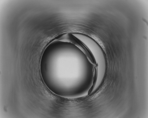 X0000095920481200801181421