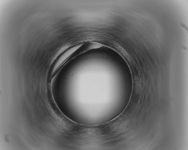 X0000095920482200801181421