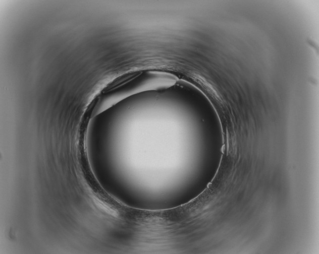 X0000095920483200801181421