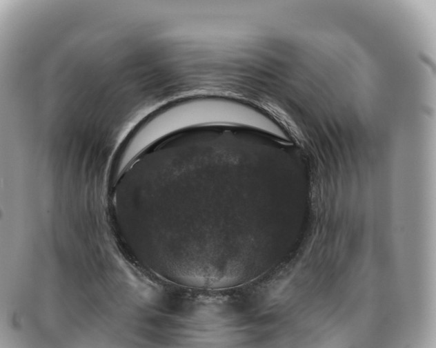 X0000095920484200801181421