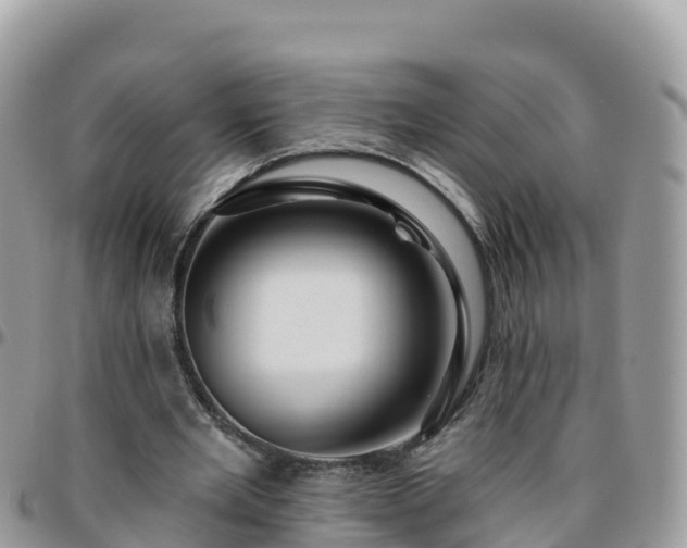 X0000095920485200801181421