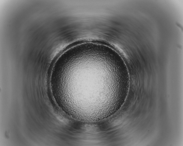 X0000095920487200801181420