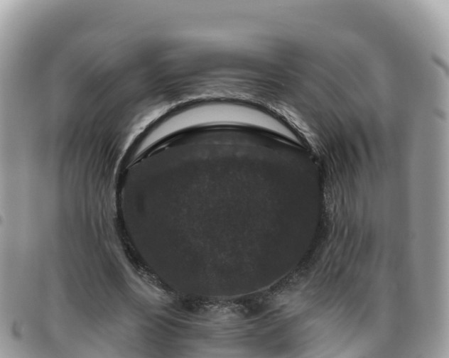 X0000095920488200801181420