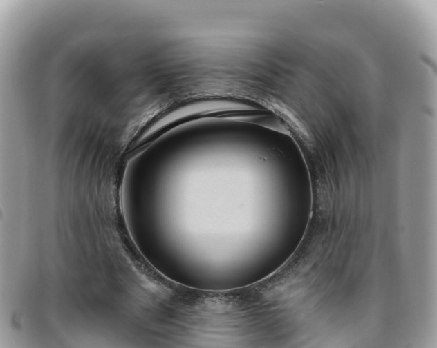 X0000095920489200801181420