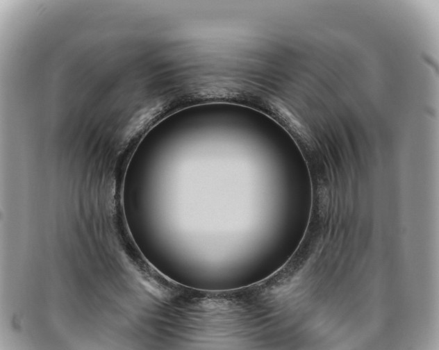 X0000095920490200801181420