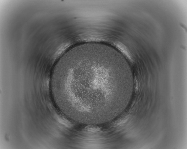 X0000095920491200801181420