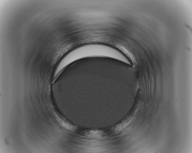 X0000095920493200801181420