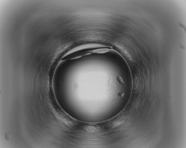 X0000095920494200801181420