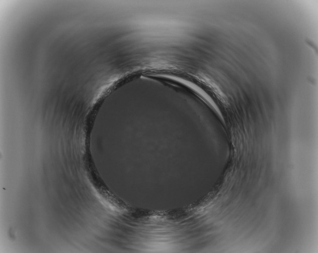 X0000095920496200801181420