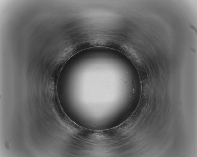 X0000095920498200801181420