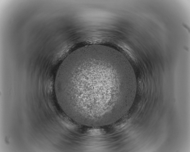 X0000095920499200801181420