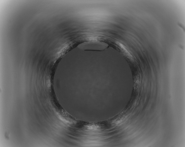 X0000095920500200801181420