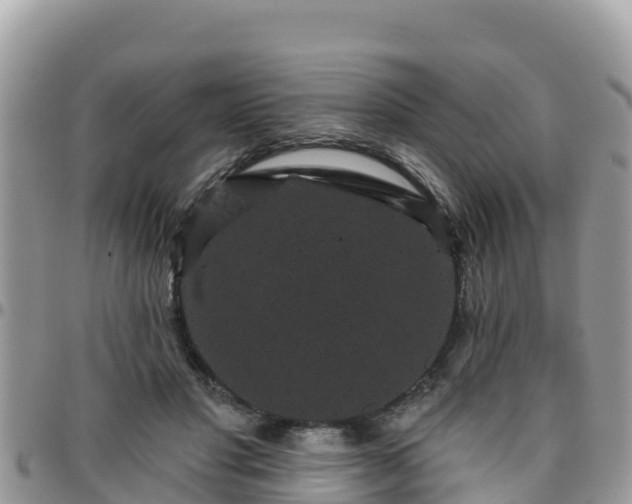 X0000095920501200801181420