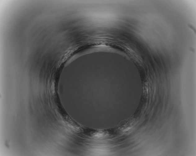 X0000095920504200801181420