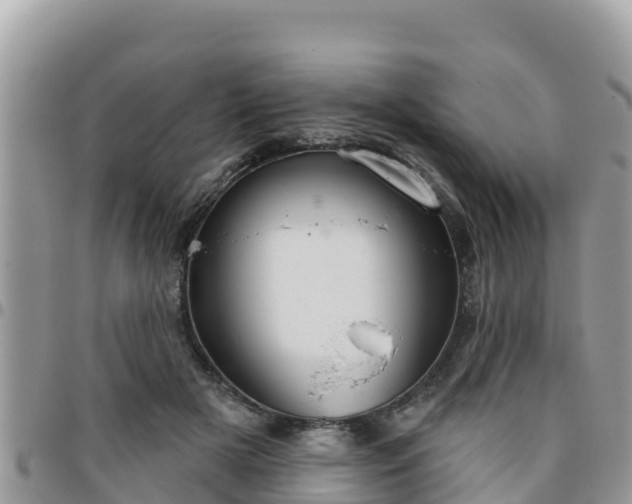 X0000095920505200801181420