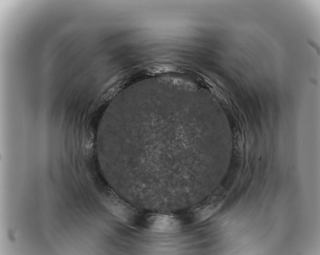 X0000095920507200801181420