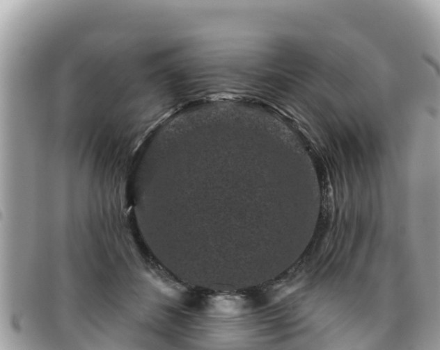 X0000095920508200801181420