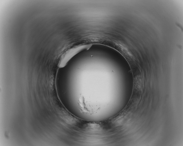 X0000095920509200801181420