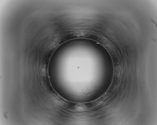 X0000095920510200801181420