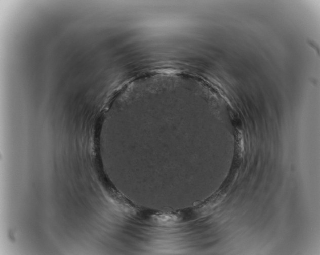 X0000095920512200801181420