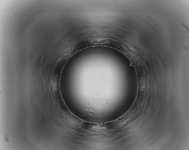 X0000095920515200801181420