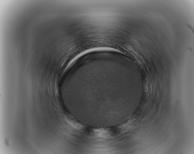 X0000095920516200801181420