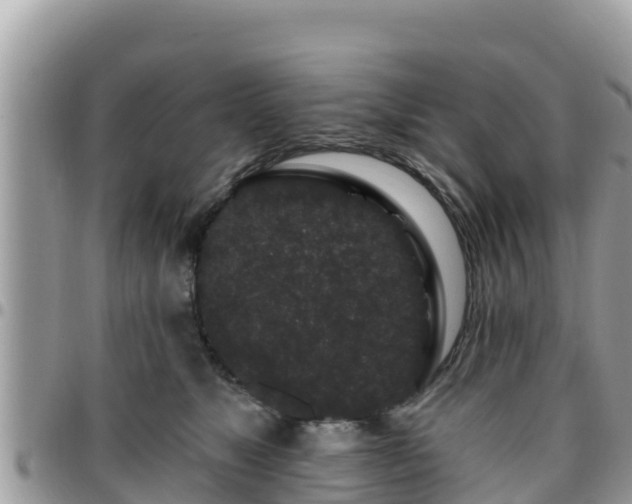 X0000095920517200801181420