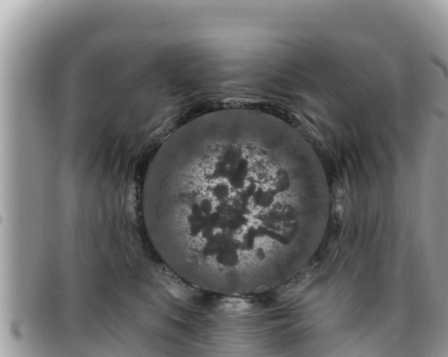 X0000095920519200801181420