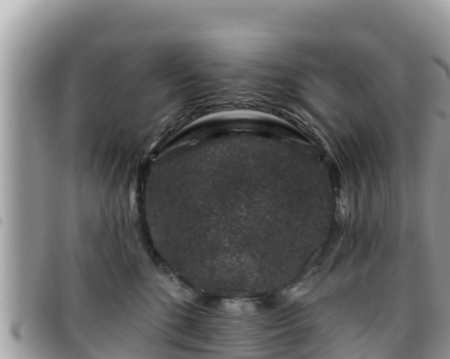 X0000095920520200801181420