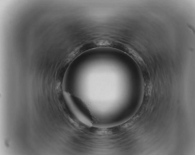 X0000095920521200801181420