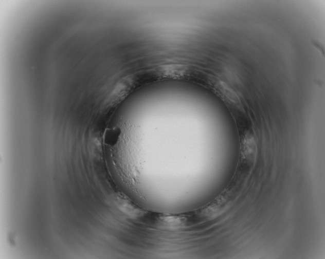 X0000095920522200801181420