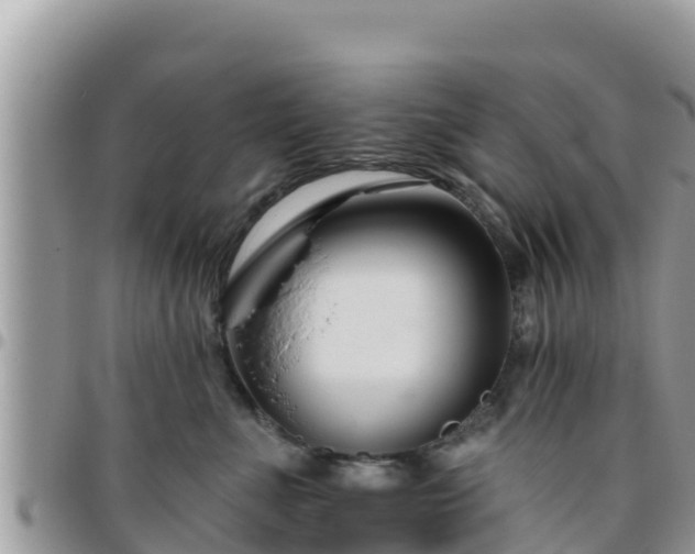 X0000095920523200801181420