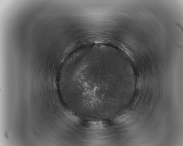 X0000095920524200801181420