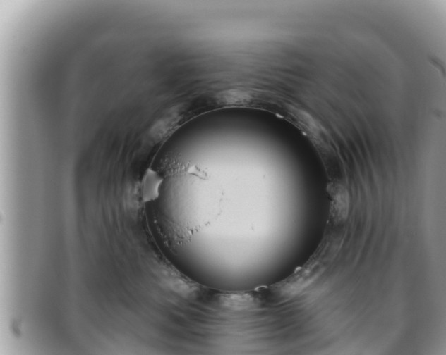 X0000095920525200801181420