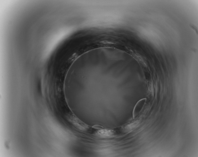 X0000095920526200801181420