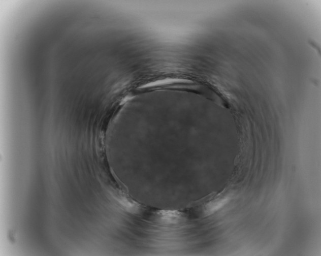 X0000095920528200801181420