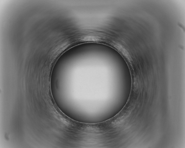 X0000095920529200801181419