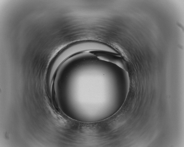 X0000095920532200801181419